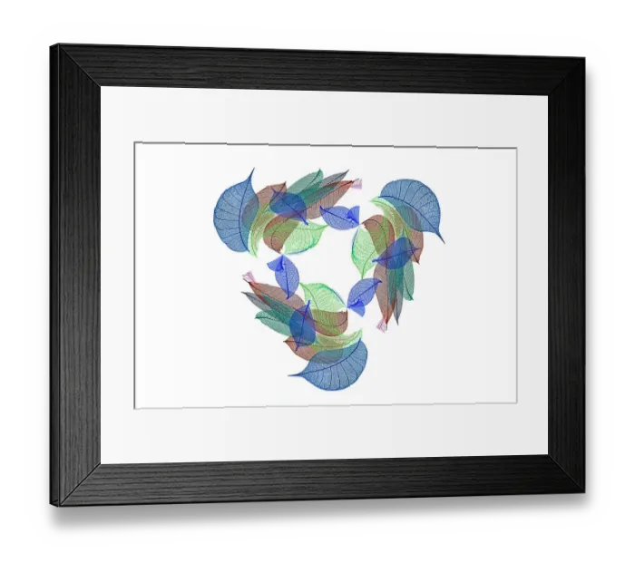 Framed Print : Multi-colored skeleton leaves arranged on white background Framed Print : Multi-colored skeleton leaves arranged on white background