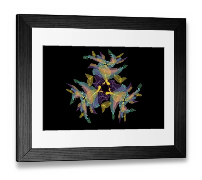 Framed Print : Multi-colored skeleton leaves arranged on black background Framed Print : Multi-colored skeleton leaves arranged on black background