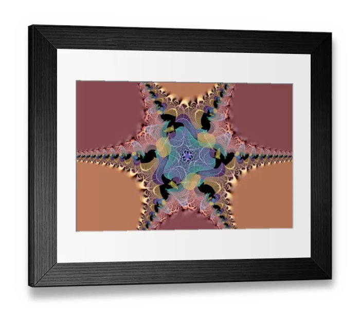 Framed Print : Multi-colored skeleton leaves arranged on black background