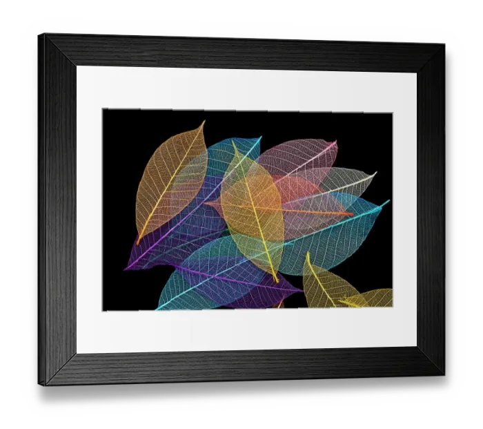 Framed Print : Multi-colored skeleton leaves arranged on black background