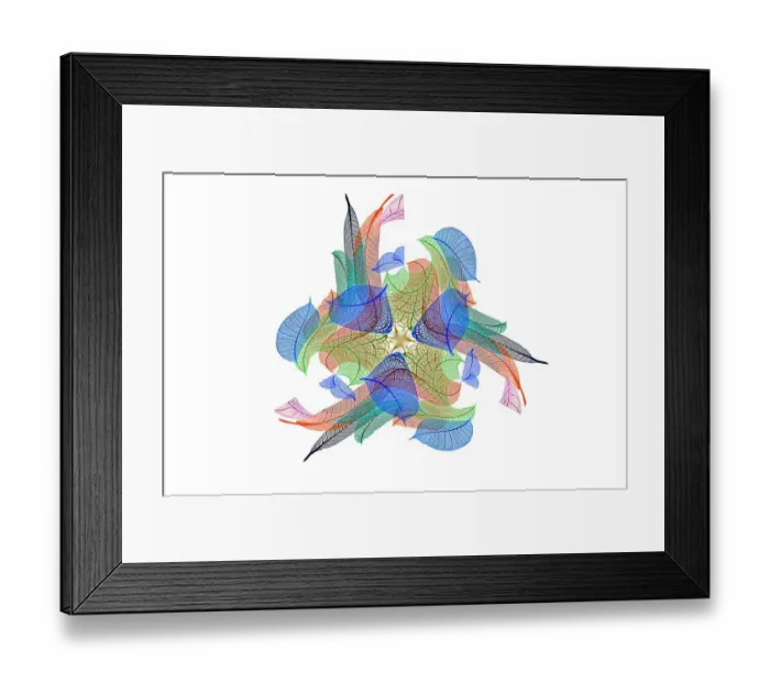 Framed Print : Multi-colored skeleton leaves arranged on white background