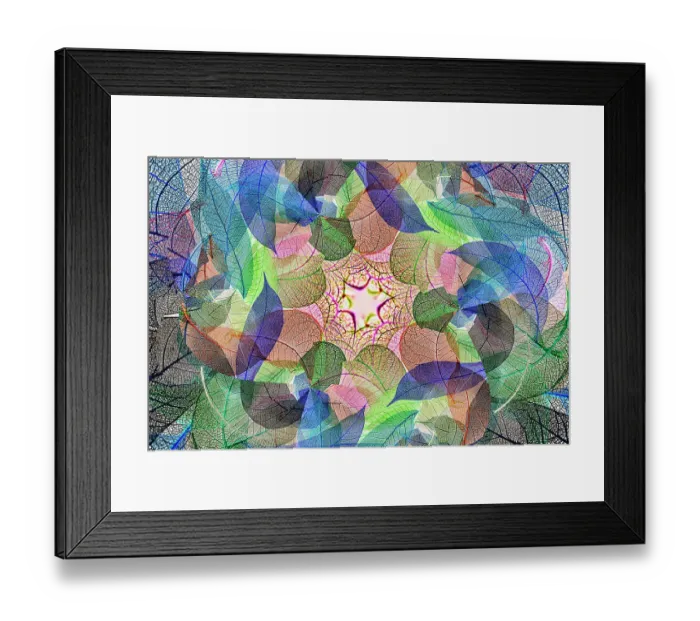 Framed Print : Multi-colored skeleton leaves arranged on white background Framed Print : Multi-colored skeleton leaves arranged on white background