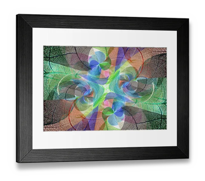 Framed Print : Multi-colored skeleton leaves arranged on white background Framed Print : Multi-colored skeleton leaves arranged on white background