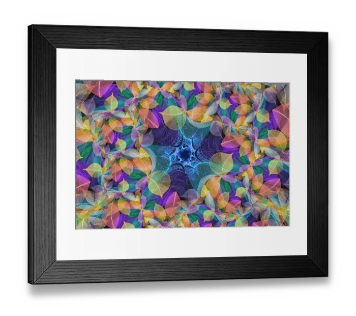 Framed Print : Multi-colored skeleton leaves arranged on black background Framed Print : Multi-colored skeleton leaves arranged on black background