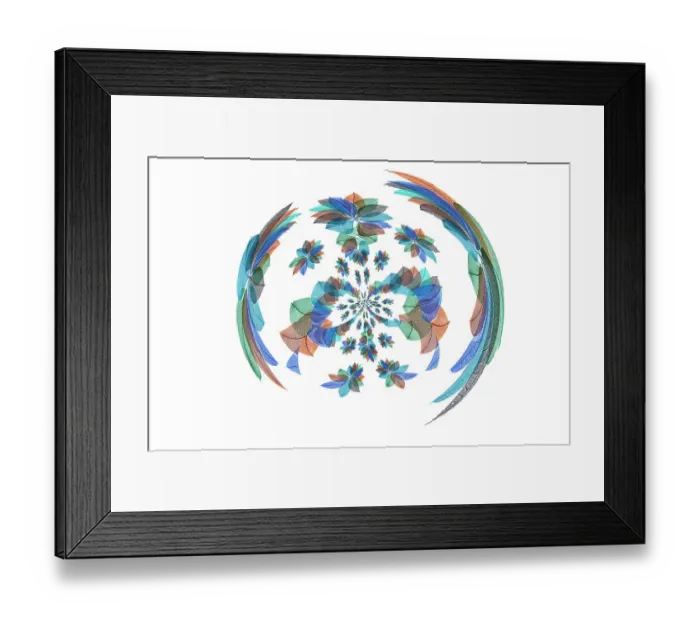Framed Print : Multi-colored skeleton leaves arranged on white background