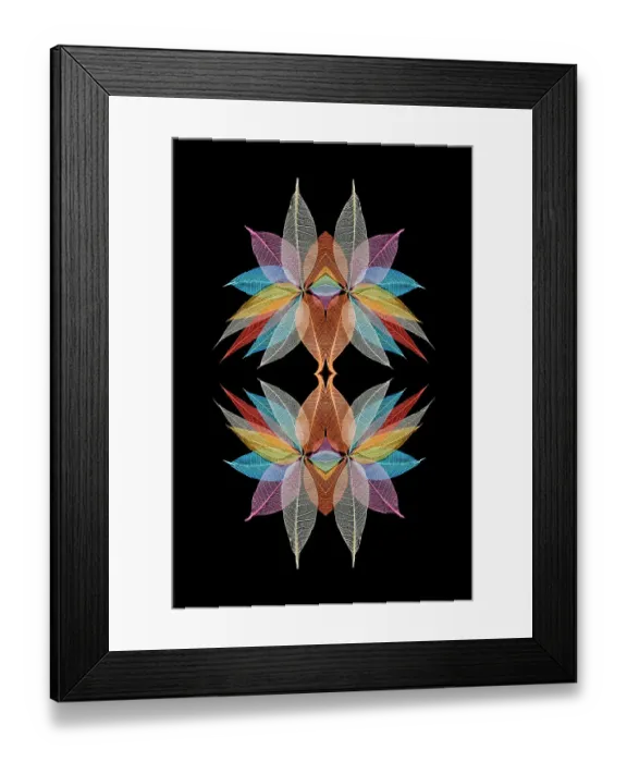 Framed Print : Multi-colored skeleton leaves arranged in radial pattern
