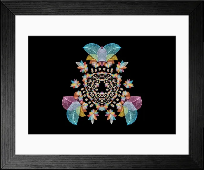 Framed Print : Multi-colored skeleton leaves arranged on black background Framed Print : Multi-colored skeleton leaves arranged on black background