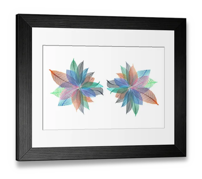 Framed Print : Multi-colored skeleton leaves arranged on white background Framed Print : Multi-colored skeleton leaves arranged on white background