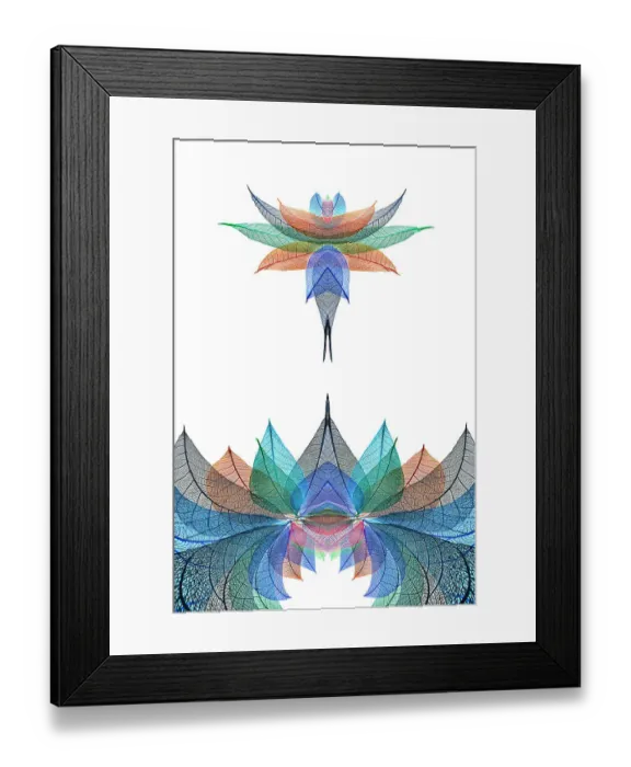 Framed Print : Multi-colored skeleton leaves arranged on white background Framed Print : Multi-colored skeleton leaves arranged on white background