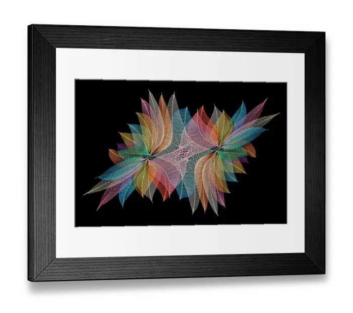 Framed Print : Multi-colored skeleton leaves arranged on black background