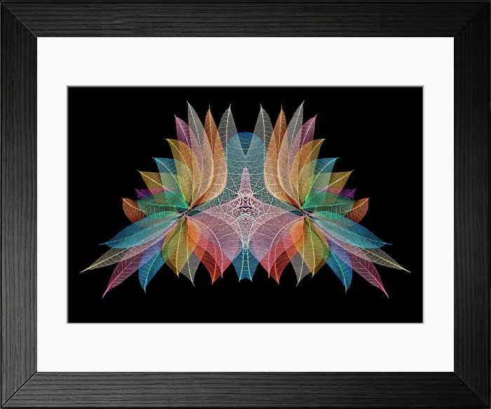 Framed Print : Multi-colored skeleton leaves arranged on black background