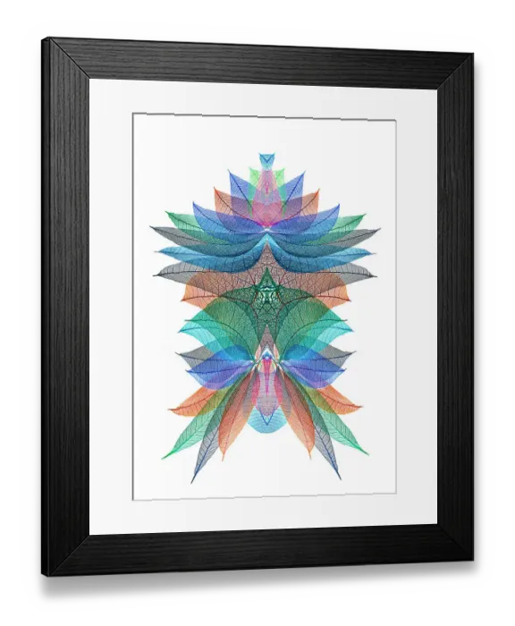 Framed Print : Multi-colored skeleton leaves arranged on white background Framed Print : Multi-colored skeleton leaves arranged on white background