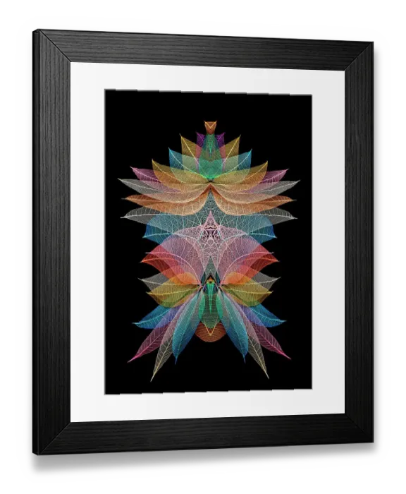 Framed Print : Multi-colored skeleton leaves arranged on black background