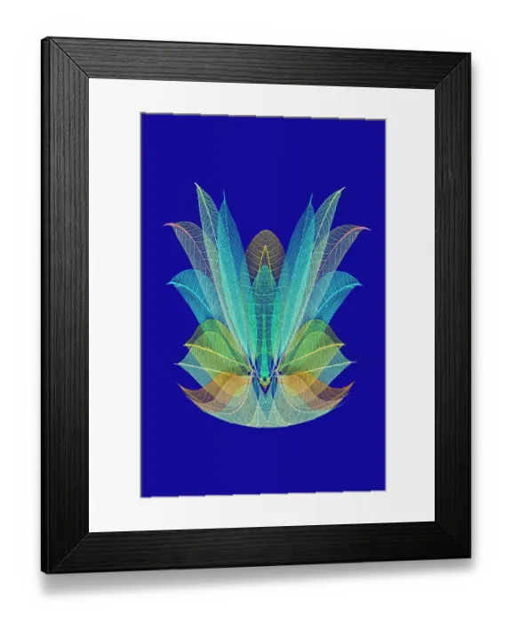 Framed Print : Multi-colored skeleton leaves arranged on blue background