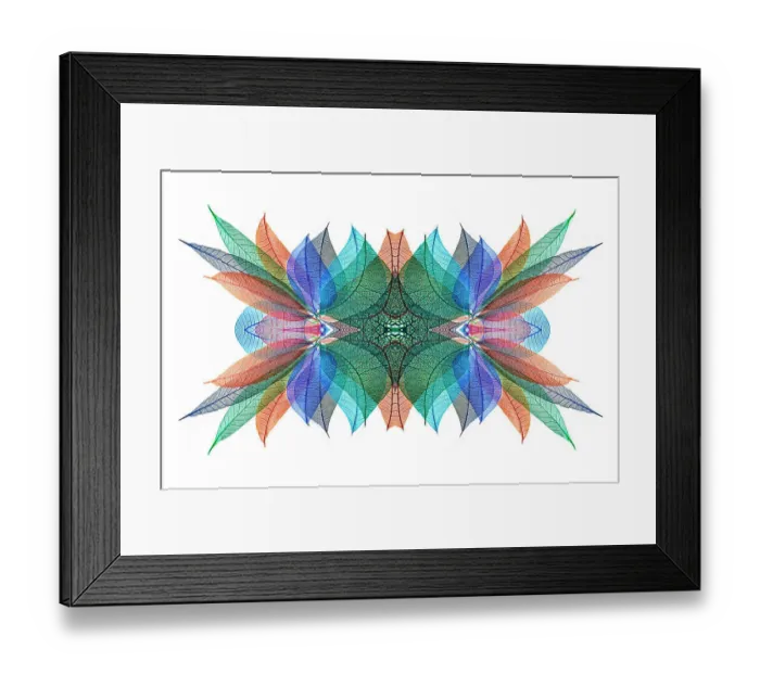 Framed Print : Multi-colored skeleton leaves arranged on white background Framed Print : Multi-colored skeleton leaves arranged on white background