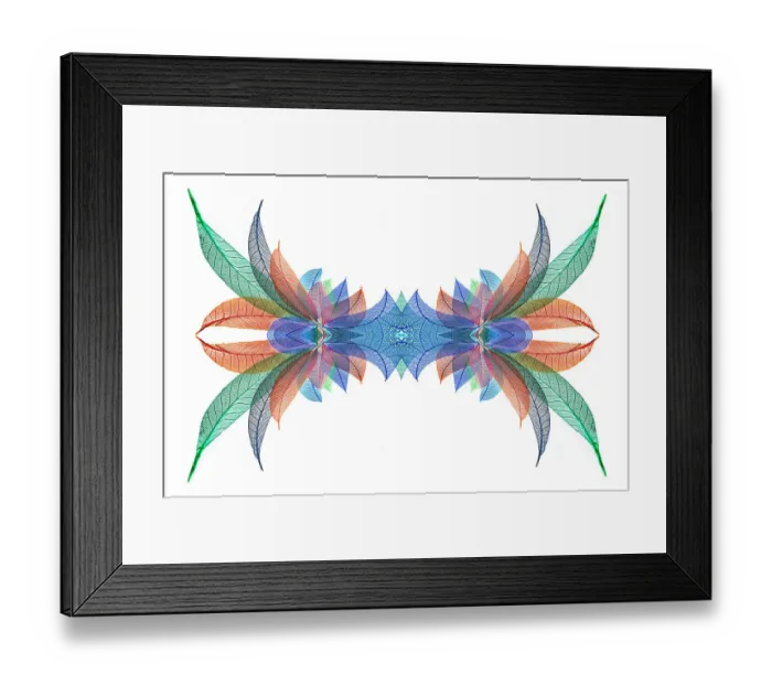 Framed Print : Multi-colored skeleton leaves arranged on white background Framed Print : Multi-colored skeleton leaves arranged on white background