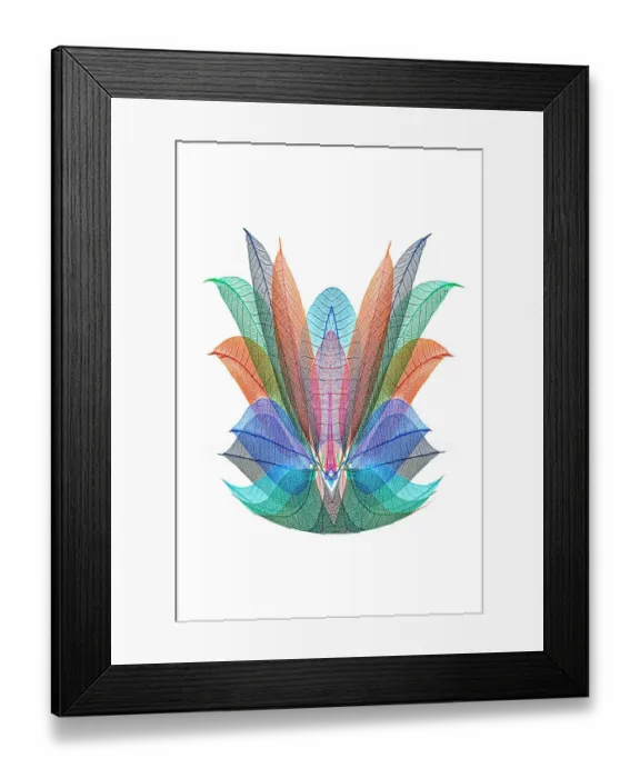 Framed Print : Multi-colored skeleton leaves arranged on white background Framed Print : Multi-colored skeleton leaves arranged on white background
