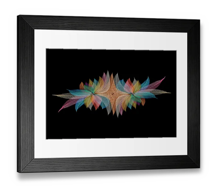 Framed Print : Multi-colored skeleton leaves arranged on black background