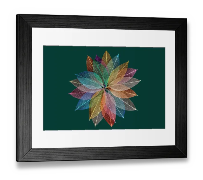 Framed Print : Multi-colored skeleton leaves arranged in radial pattern on dark green background Framed Print : Multi-colored skeleton leaves arranged in radial pattern on dark green background
