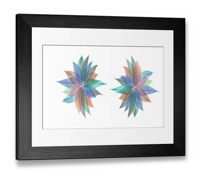 Framed Print : Multi-colored skeleton leaves arranged in radial pattern on white background Framed Print : Multi-colored skeleton leaves arranged in radial pattern on white background