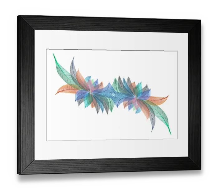 Framed Print : Multi-colored skeleton leaves arranged on white background Framed Print : Multi-colored skeleton leaves arranged on white background