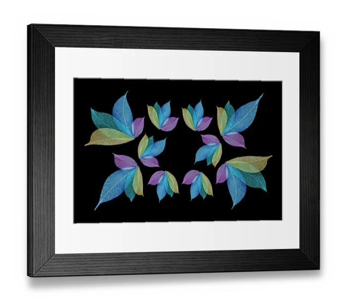Framed Print : Multi-colored skeleton leaves arranged on black background Framed Print : Multi-colored skeleton leaves arranged on black background