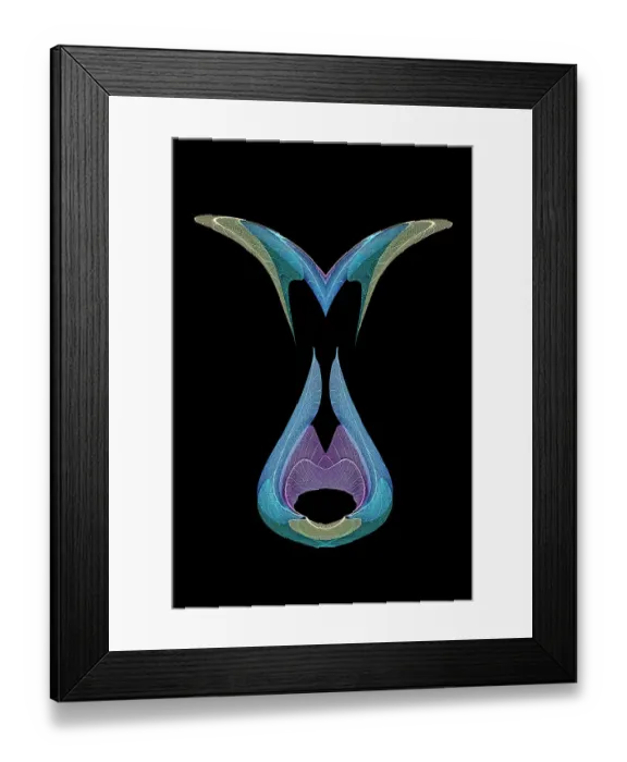 Framed Print : Multi-colored skeleton leaves arranged on black background Framed Print : Multi-colored skeleton leaves arranged on black background