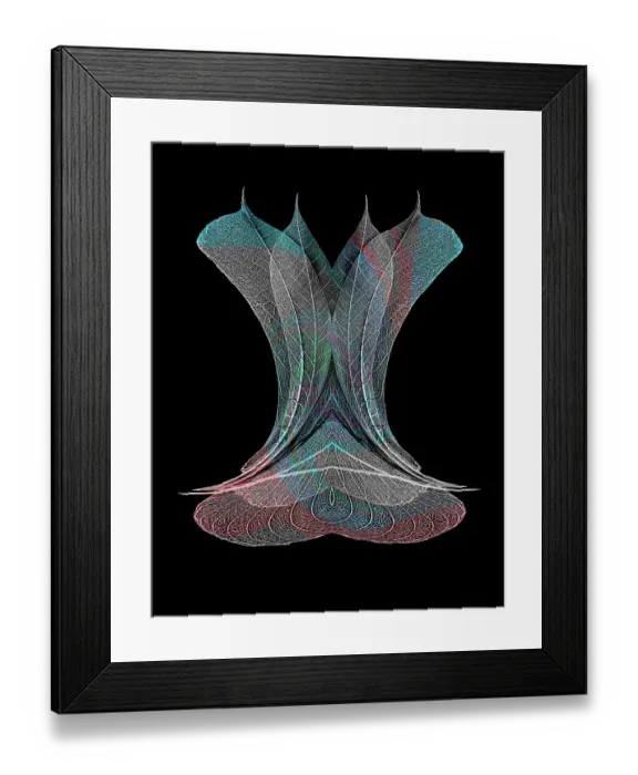 Framed Print : Multi-colored skeleton leaves arranged on black background