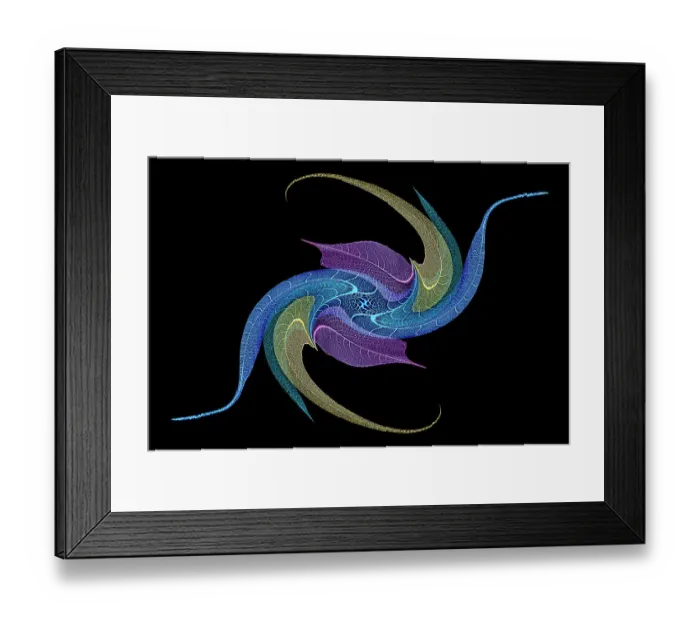 Framed Print : Multi-colored skeleton leaves arranged on black background Framed Print : Multi-colored skeleton leaves arranged on black background