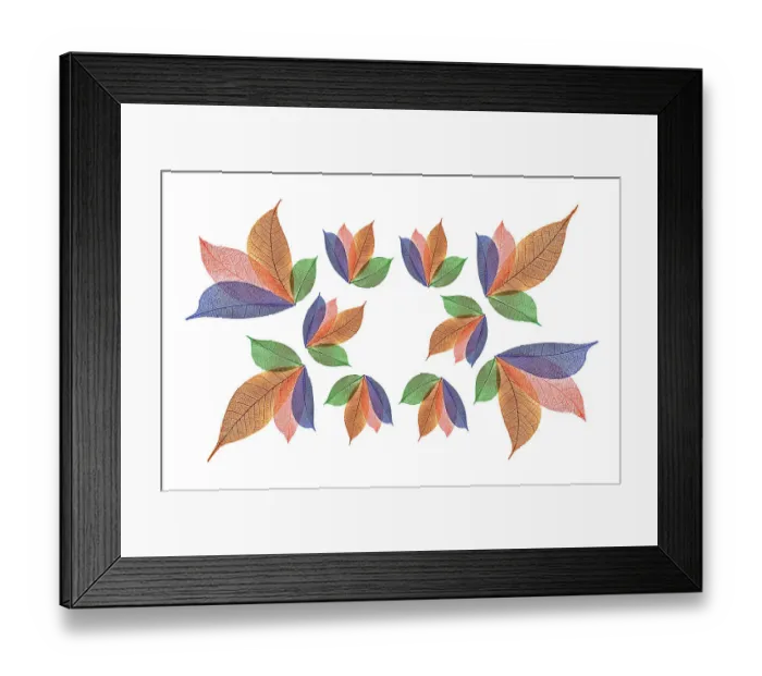 Framed Print : Multi-colored skeleton leaves arranged on white background Framed Print : Multi-colored skeleton leaves arranged on white background