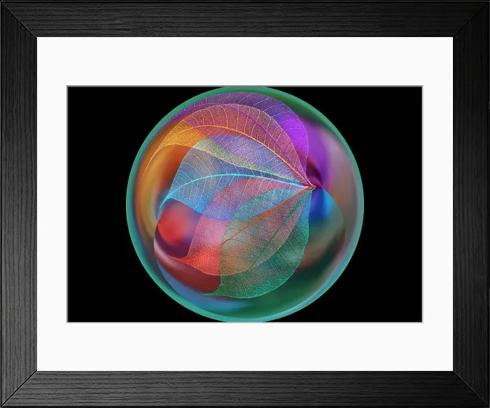Framed Print : Multi-colored skeleton leaves arranged on black background Framed Print : Multi-colored skeleton leaves arranged on black background