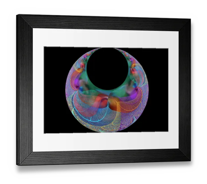 Framed Print : Multi-colored skeleton leaves arranged on black background Framed Print : Multi-colored skeleton leaves arranged on black background