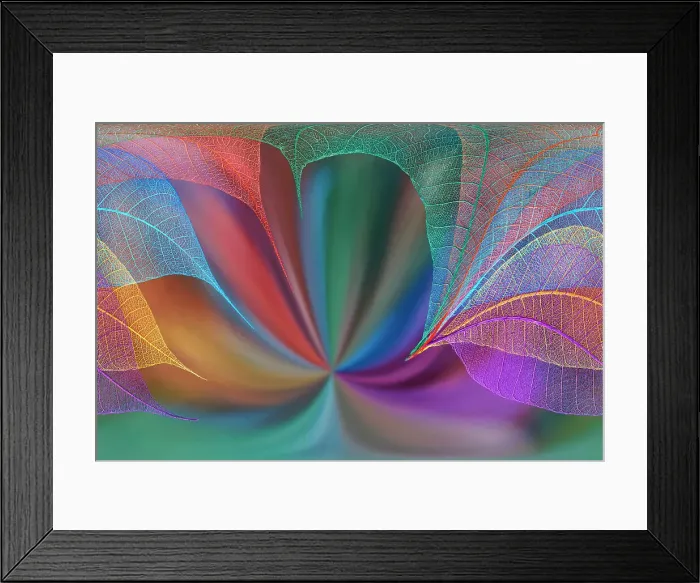 Framed Print : Multi-colored skeleton leaves arranged on colorful background Framed Print : Multi-colored skeleton leaves arranged on colorful background