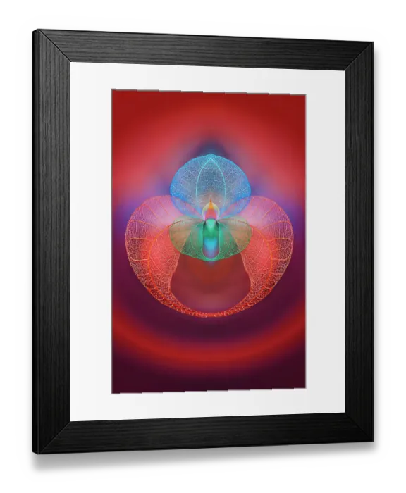 Framed Print : Multi-colored skeleton leaves arranged on black background Framed Print : Multi-colored skeleton leaves arranged on black background