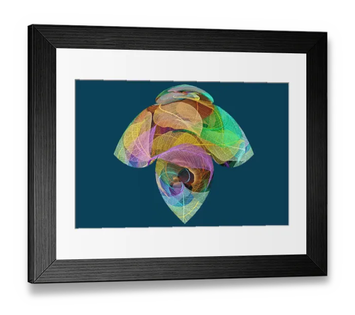 Framed Print : Multi-colored skeleton leaves arranged on black background