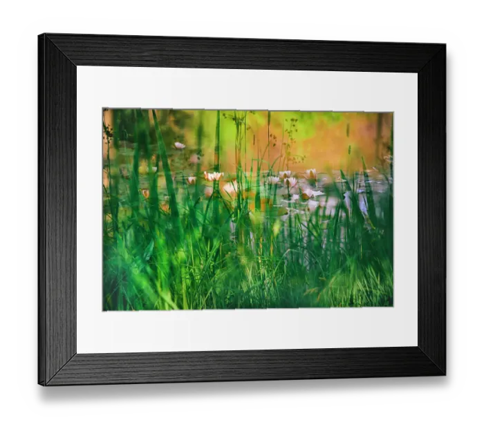 Framed Print : Soft composite of water lilies in a pond Framed Print : Soft composite of water lilies in a pond