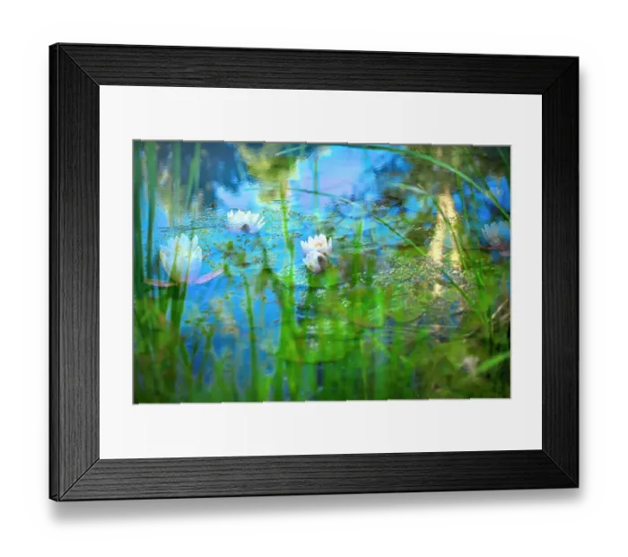 Framed Print : Soft composite of water lilies in a pond