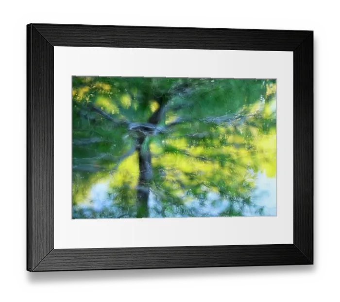 Framed Print : Tree and pond artistic composite Framed Print : Tree and pond artistic composite