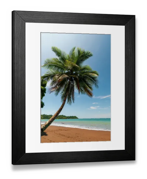 Framed Print : A palm tree on a pristine tropical beach. Drake Bay, Osa Peninsula, Costa Rica Framed Print : A palm tree on a pristine tropical beach. Drake Bay, Osa Peninsula, Costa Rica