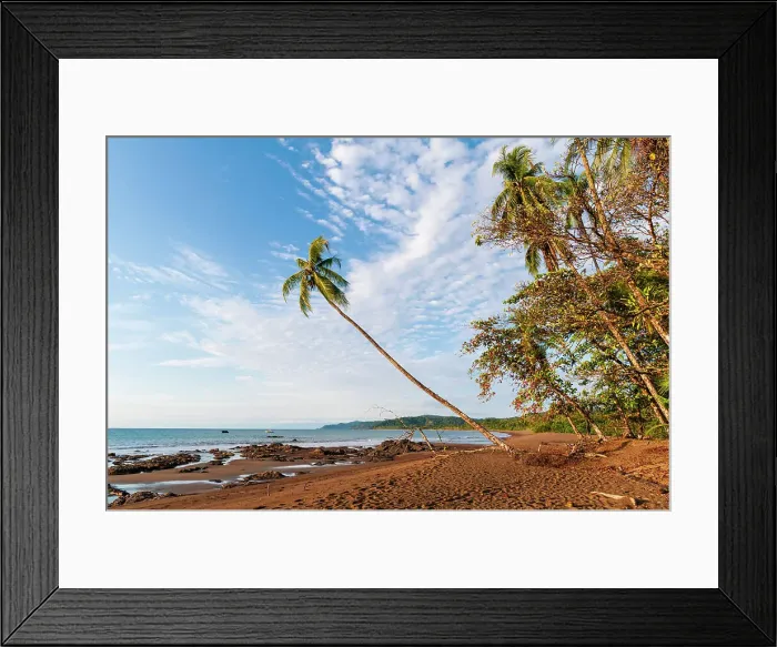 Framed Print : The sandy beach with palm trees and wispy clouds overhead. Drake Bay, Osa Peninsula, Costa Rica