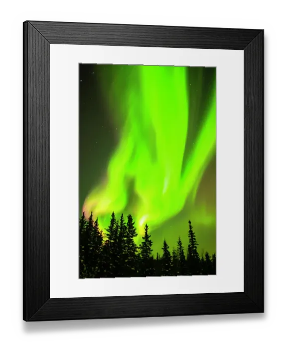 Framed Print : USA, Alaska, Chena Hot Springs Resort. Aurora borealis fills night sky Framed Print : USA, Alaska, Chena Hot Springs Resort. Aurora borealis fills night sky