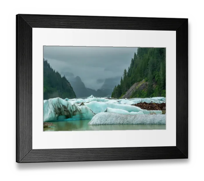 Framed Print : USA, Alaska, Tongass National Forest. Icebergs in Shakes Lake