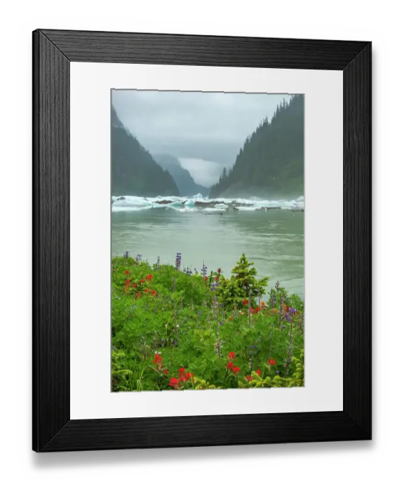 Framed Print : USA, Alaska, Tongass National Forest. Shakes Lake icebergs and wildflowers Framed Print : USA, Alaska, Tongass National Forest. Shakes Lake icebergs and wildflowers