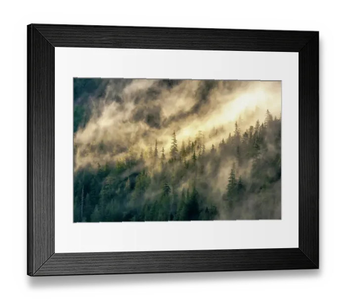 Framed Print : USA, Alaska, Tongass National Forest. Fog on mountain forest Framed Print : USA, Alaska, Tongass National Forest. Fog on mountain forest
