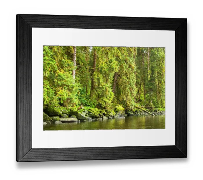 Framed Print : USA, Alaska, Tongass National Forest. Forest reflects in Anan Creek