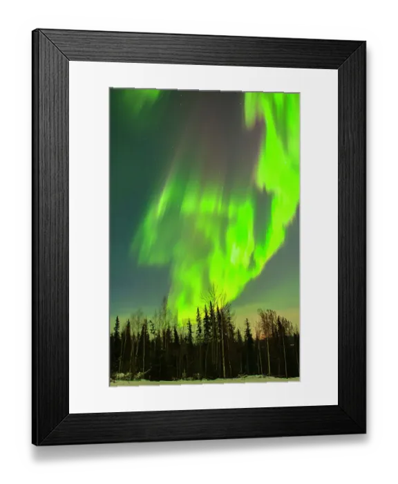 Framed Print : USA, Alaska. Aurora borealis and forest at sunset Framed Print : USA, Alaska. Aurora borealis and forest at sunset