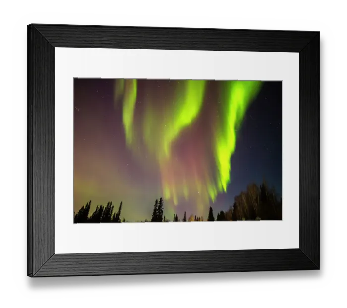Framed Print : USA, Alaska, Fairbanks. Aurora borealis and tree silhouettes