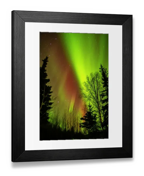 Framed Print : USA, Alaska, Chena Hot Springs Resort. Aurora borealis fills night sky Framed Print : USA, Alaska, Chena Hot Springs Resort. Aurora borealis fills night sky
