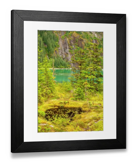 Framed Print : USA, Alaska, Tongass National Forest. Landscape with pond, inlet, and mountain