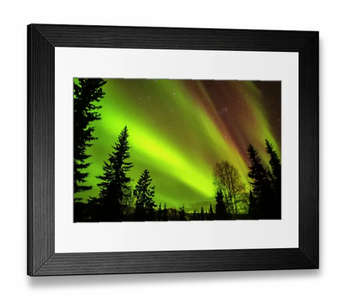 Framed Print : USA, Alaska, Chena Hot Springs Resort. Aurora borealis fills night sky Framed Print : USA, Alaska, Chena Hot Springs Resort. Aurora borealis fills night sky